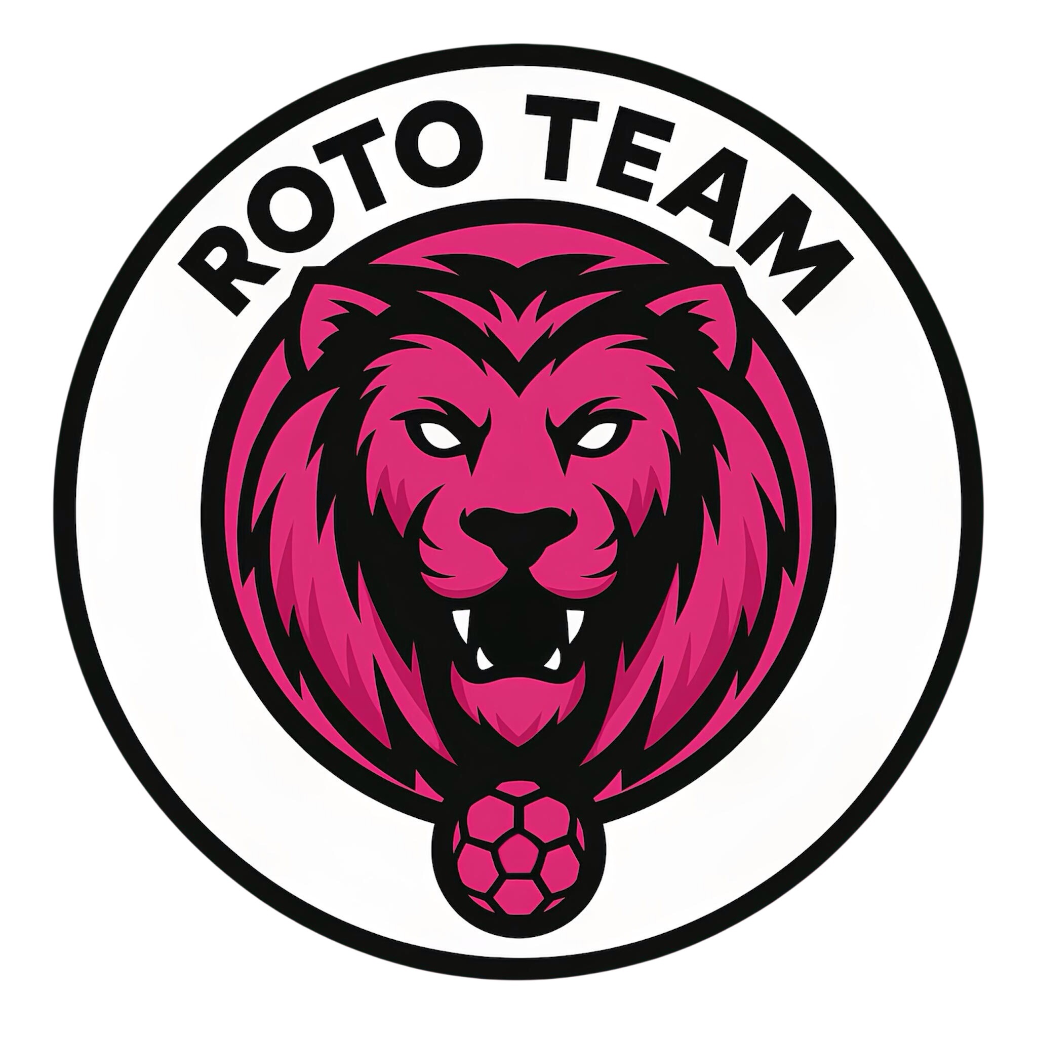 Roto Team